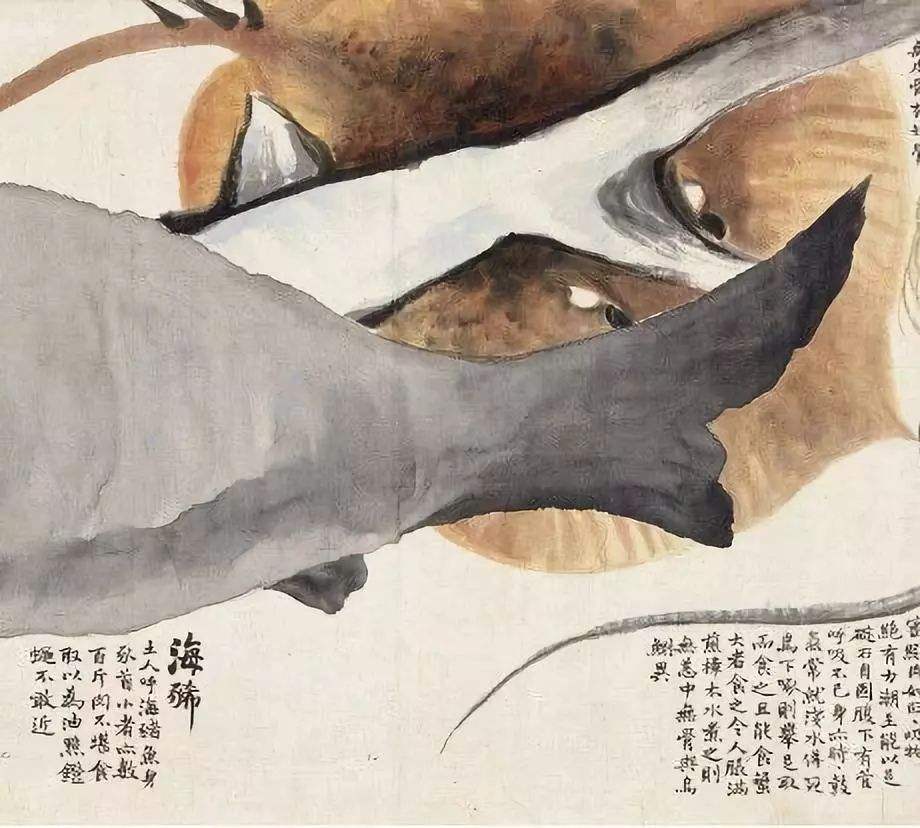 宁波海鲨：江东银鲨战力大增，竞争优势明显的简单介绍