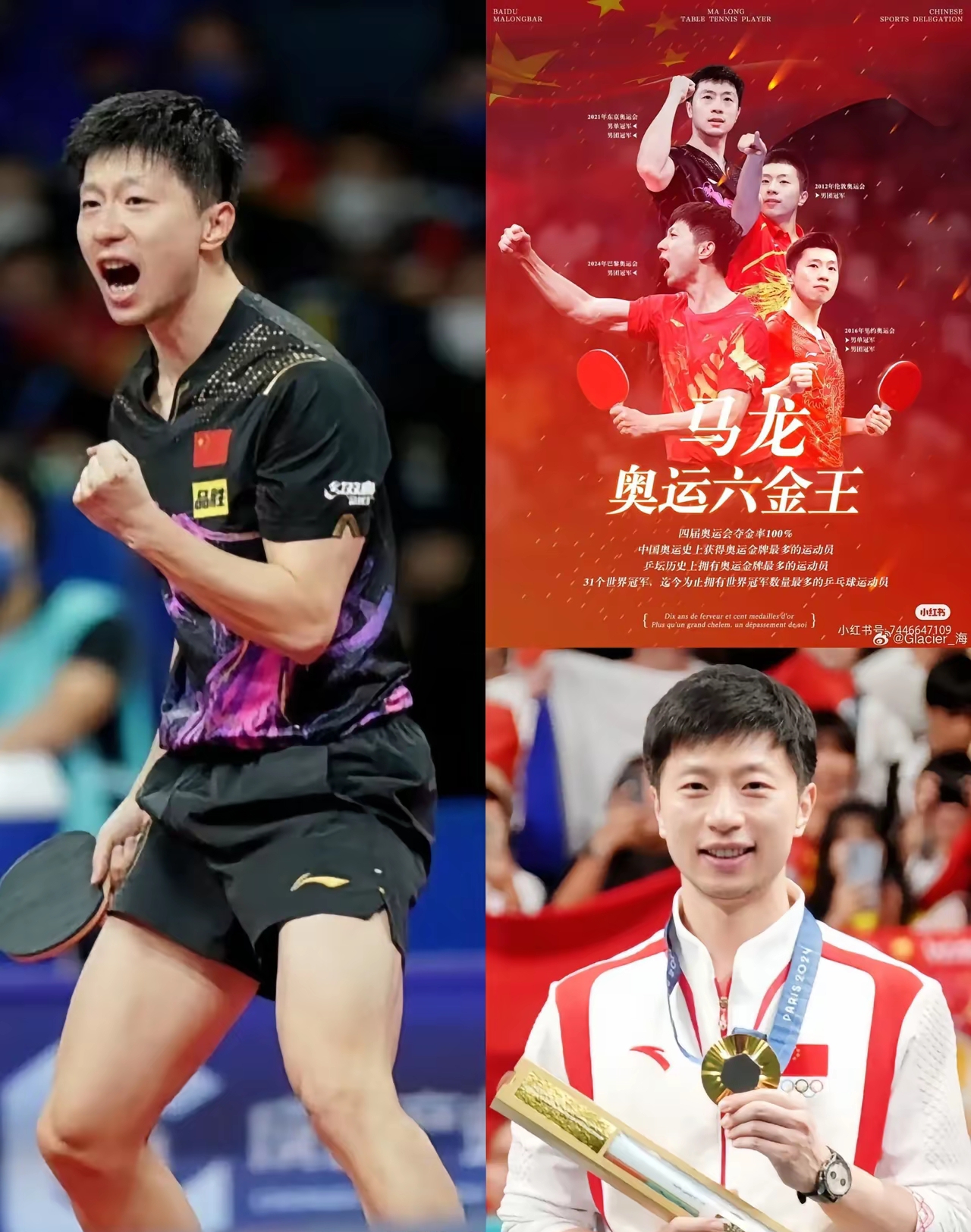 包含波兰乒乓球队强势日本乒乓球队，马龙送出助攻的词条