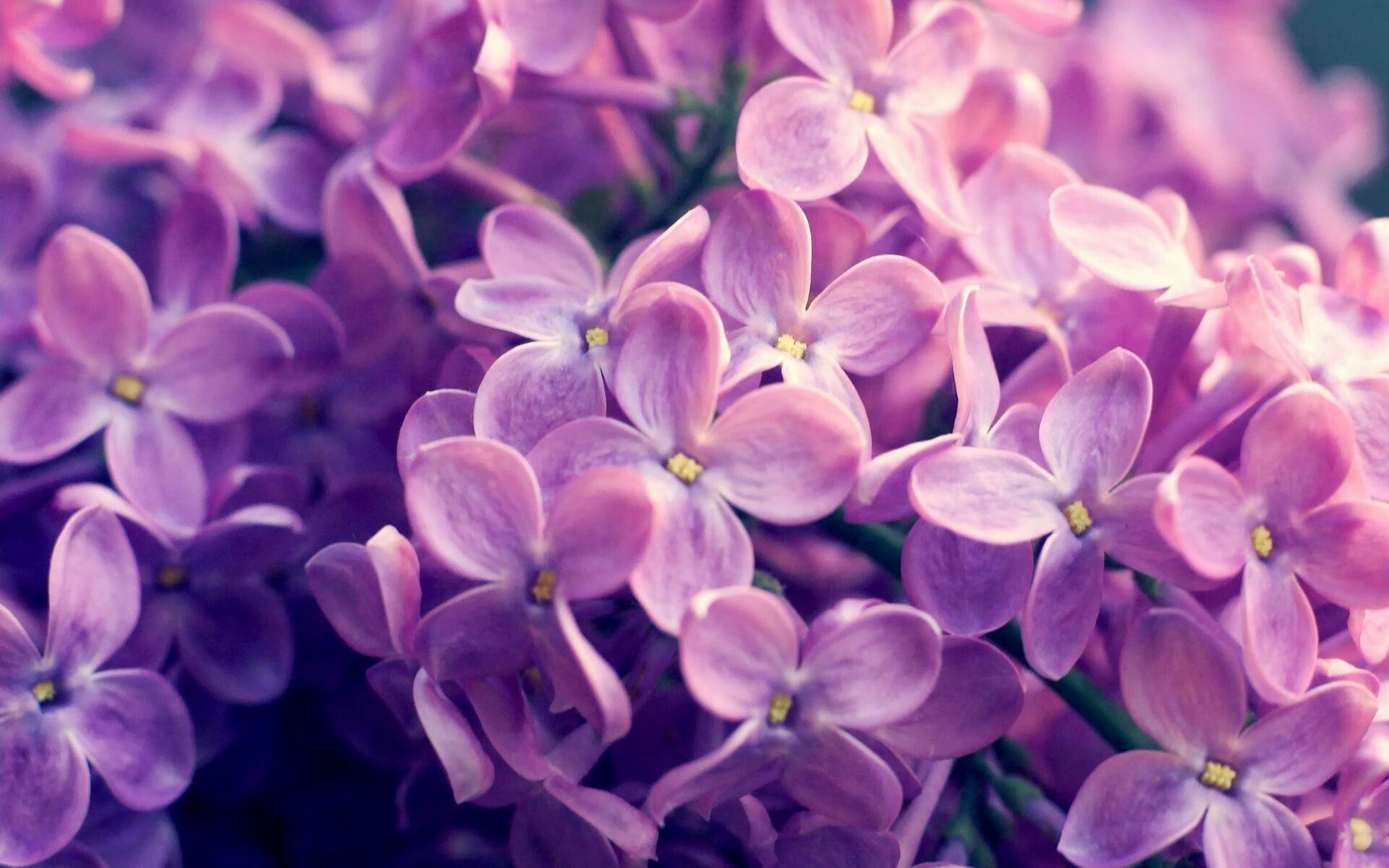 开云体育入口-绝杀与接管，体育之夜的双重奏—深圳队险胜上海，西亚卡姆欧冠赛场独舞