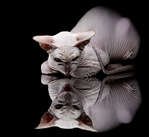 最后一秒的神迹！霍勒迪从地狱到天堂的压哨救赎