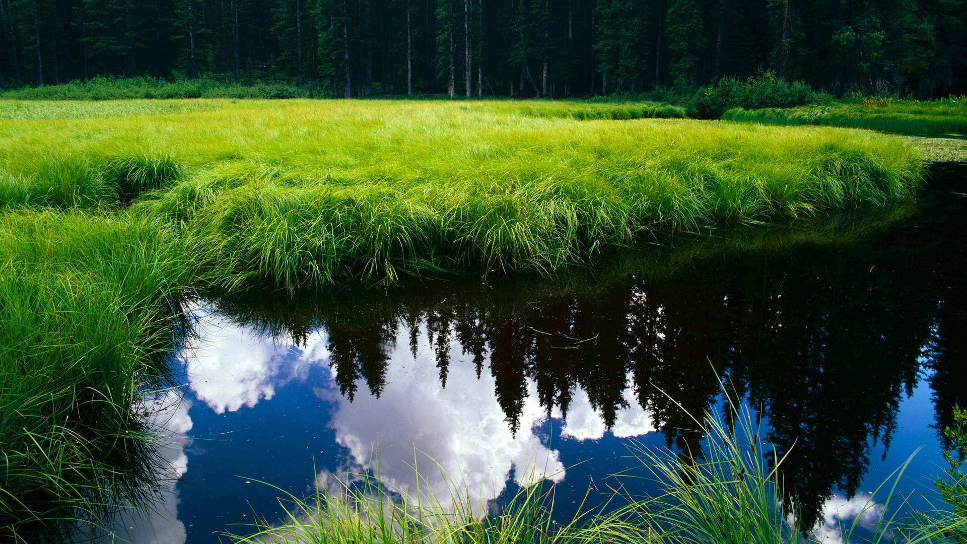 开云APP-战神降世！阿尔瓦雷斯狂暴输出，委内瑞拉踏平南非！