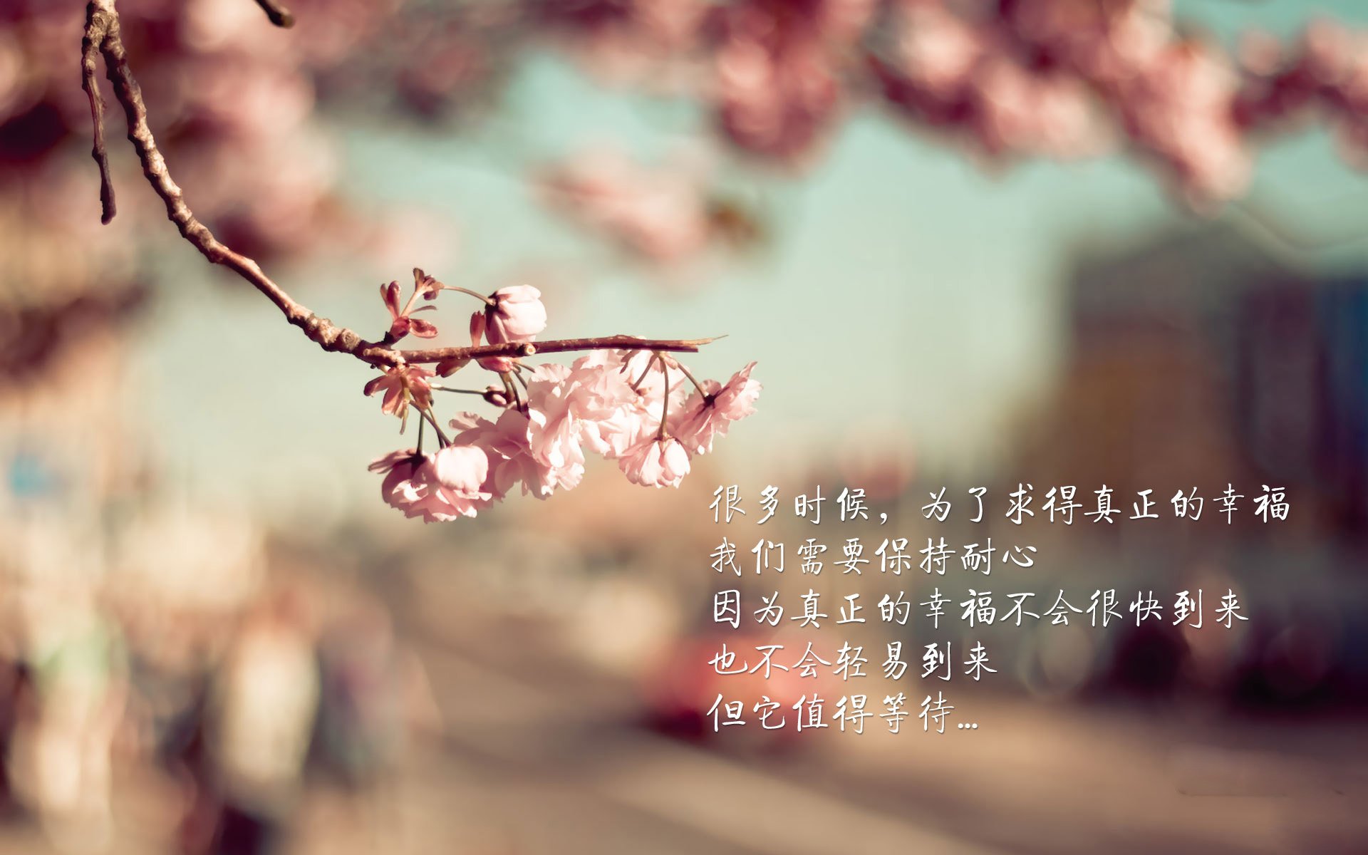 巨星之夜,哈登无争议封王—年度焦点之战深度解析