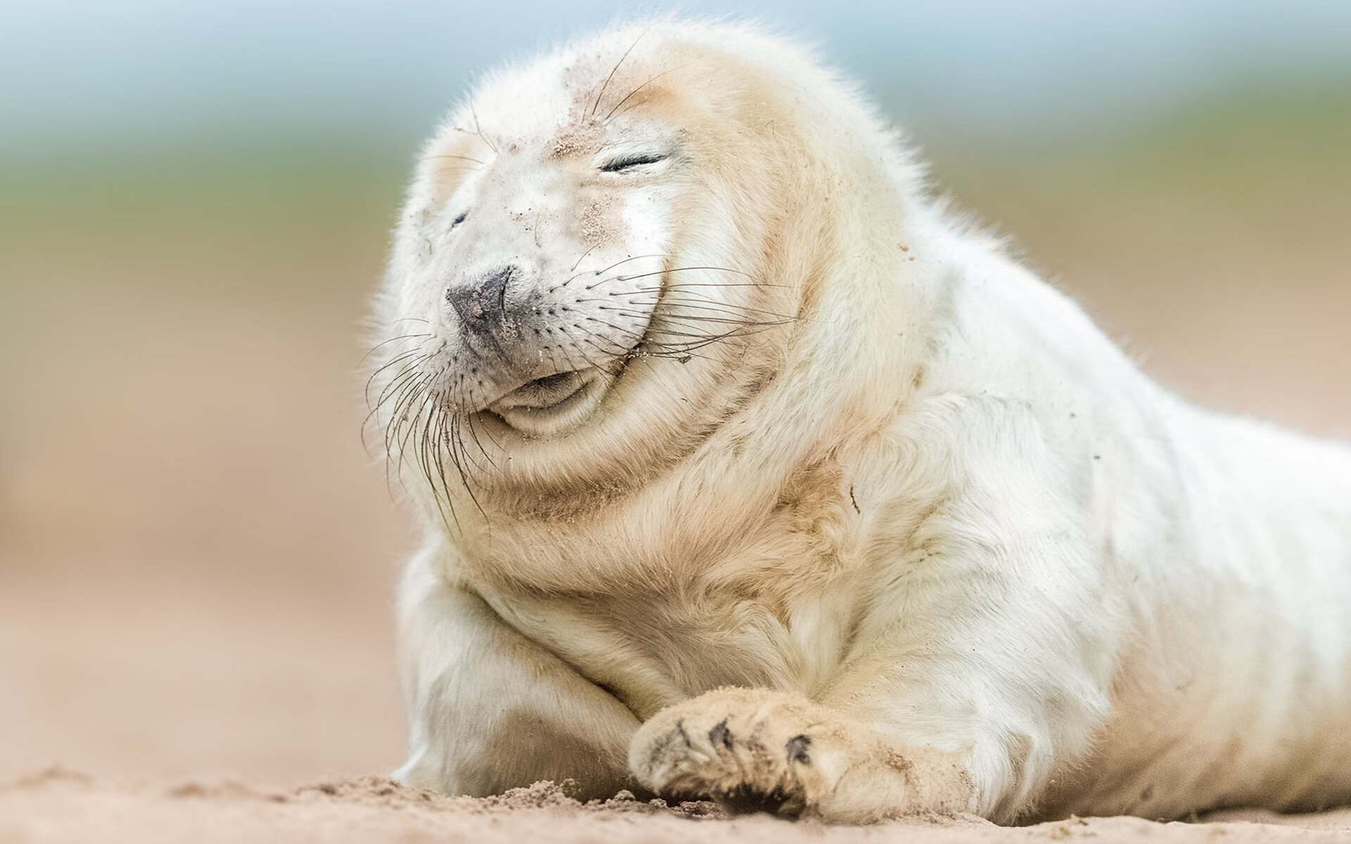 跨越太平洋的篮球交响曲,骑士对决辽宁,塔图姆二万分里程碑闪耀