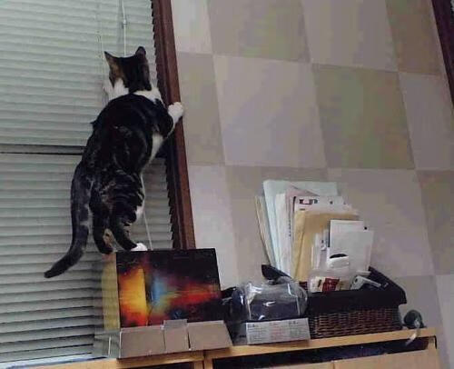 巴西强势晋级里昂，法比尼奥欧冠决赛展现实力