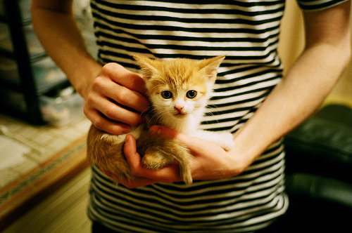 开云体育登录-年度焦点之战之夜，孙兴慜的压制级统治表演