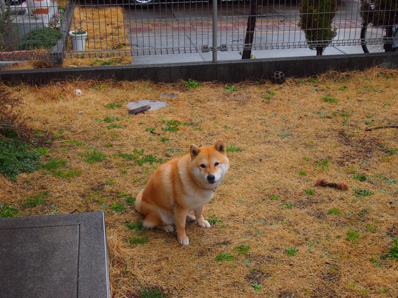 东方铁壁！广厦封锁马刺，贝恩成关键先生撕裂圣城之盾