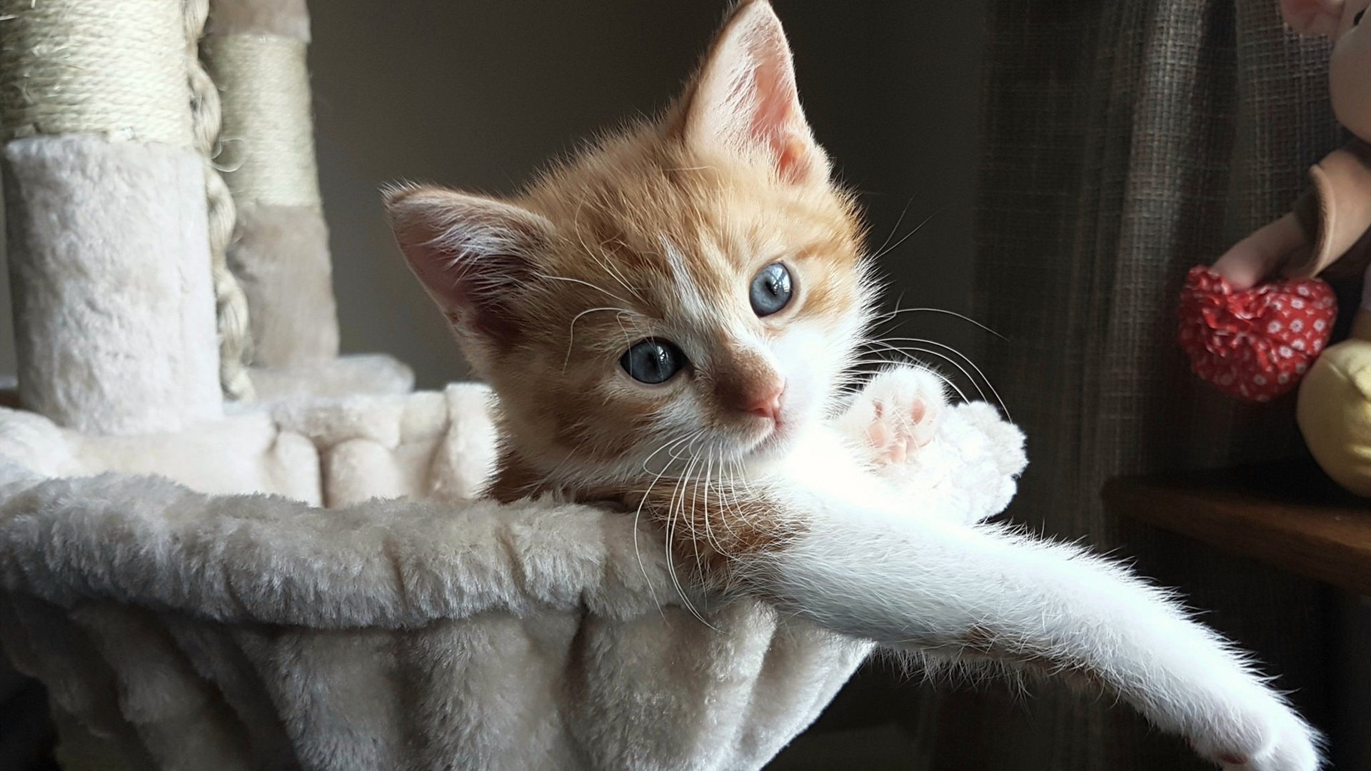 开云体育登录-托尼的关键一击，美国如何提前终结伊朗悬念