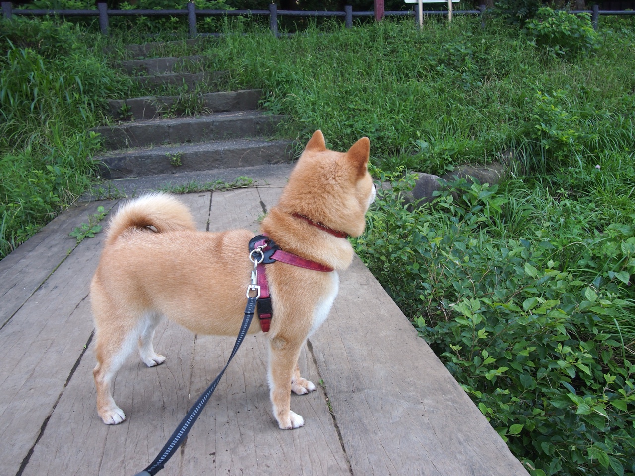 绝杀与统治，体育世界里，胜利的两种模样