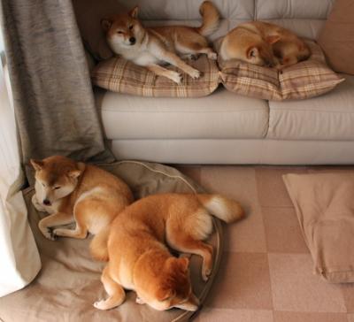 欧冠之夜,埃及利刃斩落雷恩,拉亚连珠炮火锁定胜局