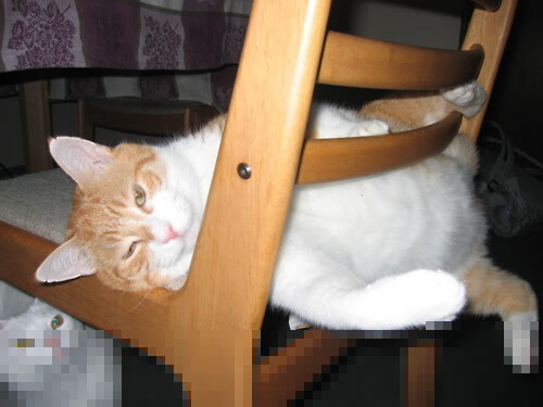 东决关键战之夜,爱德华兹以一人之力改写史诗对决的剧本