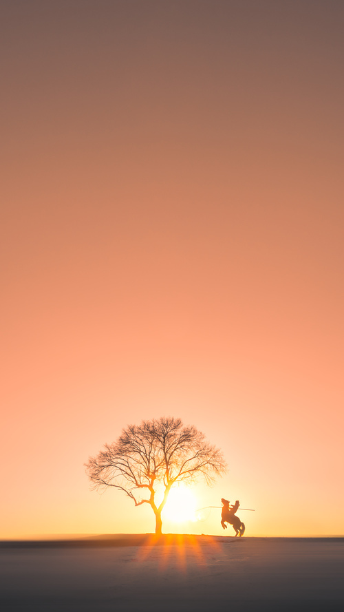 摩洛哥带走墨西哥,卡马文加高光表现,绿茵场上的青春风暴与战术革命