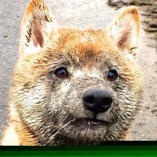 开云体育-数据与铁壁，足球世界的两副面孔