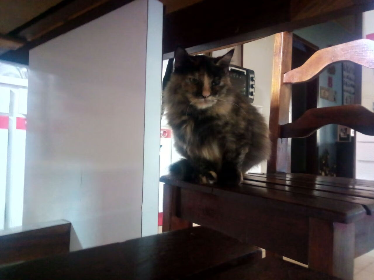 开云体育中国-擎天之柱，西决生死战，劳塔罗的双面统治